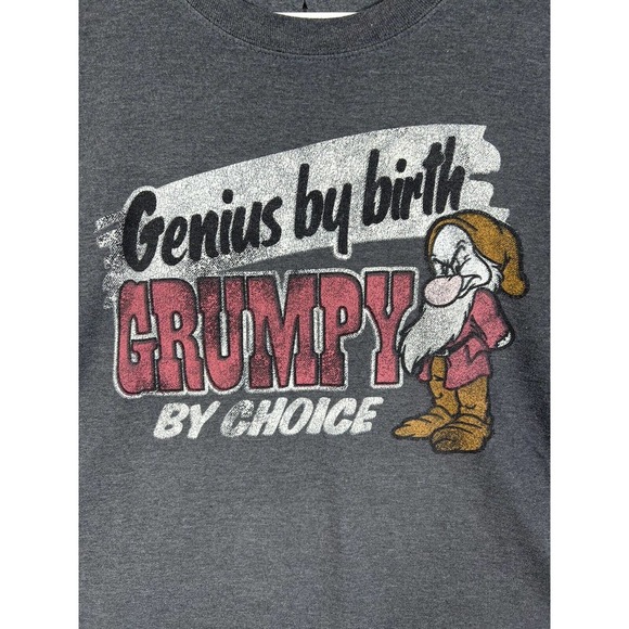Disney Parks Snow White Genius by Birth GRUMPY By Choice T-Shirt Mens XL Gray - Picture 8 of 15